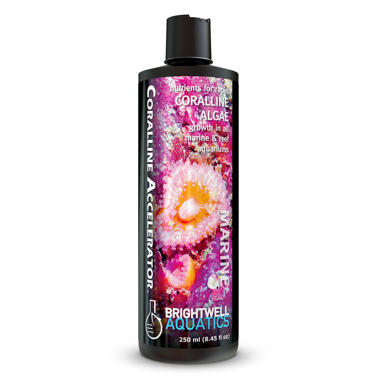 Coralline Accelerator