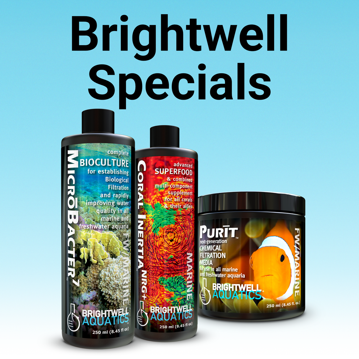 December Special Bundle (Case 2)