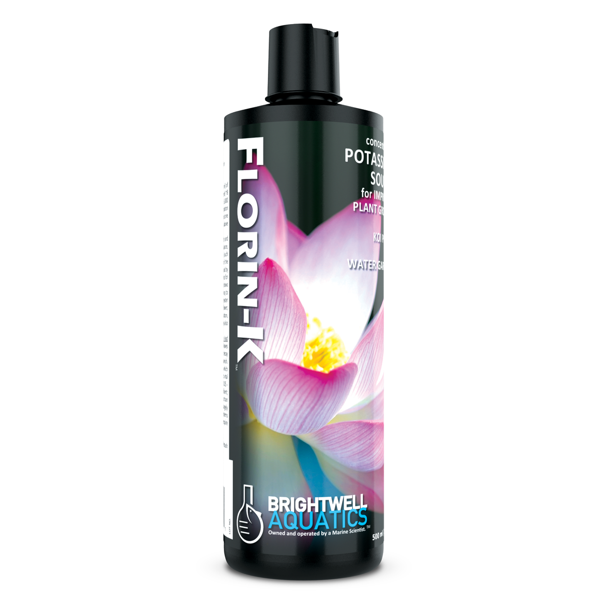 Florin K Koi and Pond