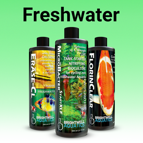 Freshwater