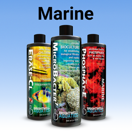 Marine