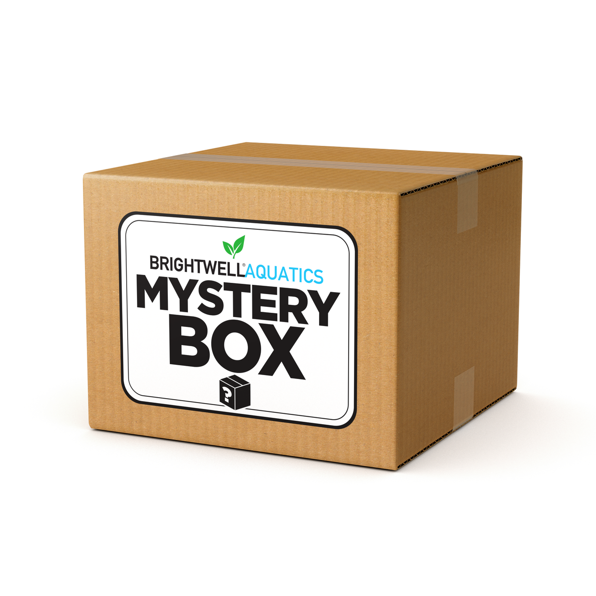 Freshwater Mystery Box