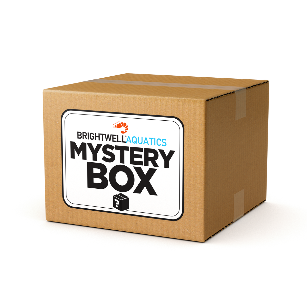 Shrimp Mystery Box