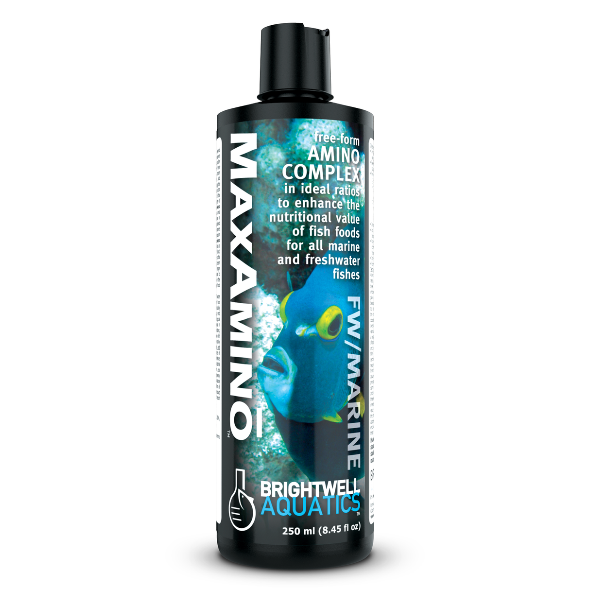 Max Amino